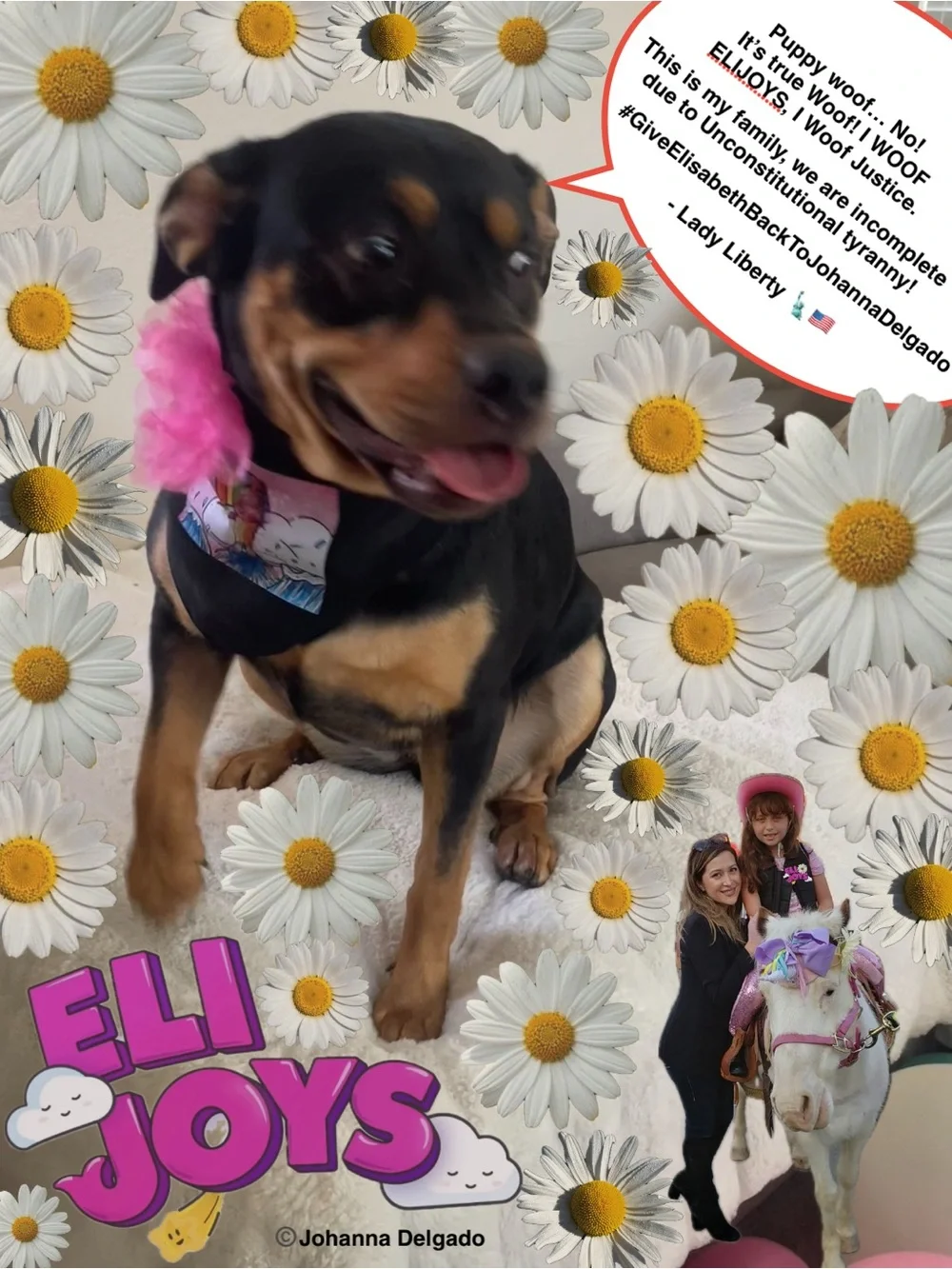 ELIJOYS - Black Dog Bandana with Mermaid Princess ©️JD Accent